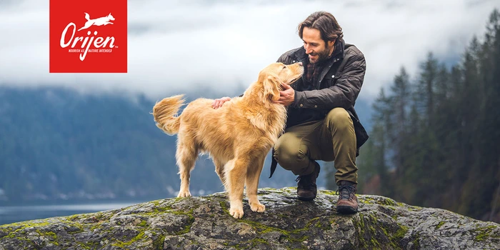 Orijen Dog Food