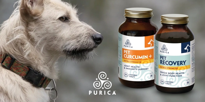 Purica Pet Curcumin+ or Pet Recovery Extra Strength