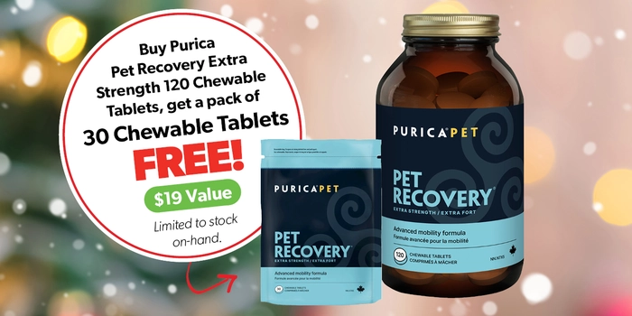 Purica Pet Recovery Extra Strength