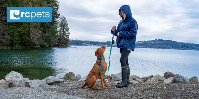 RC Pets Waterproof Leash or Collar