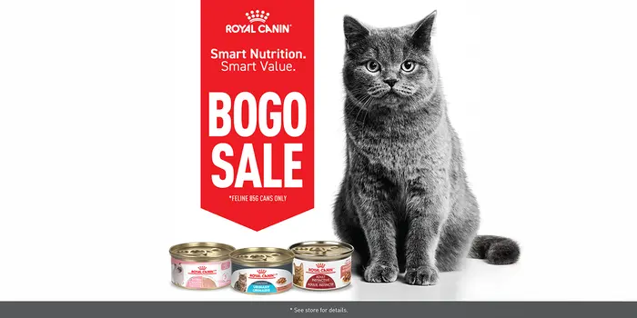 Royal Canin Cat Food 85g Cans