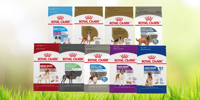 Royal Canin Dog Food Large Bags