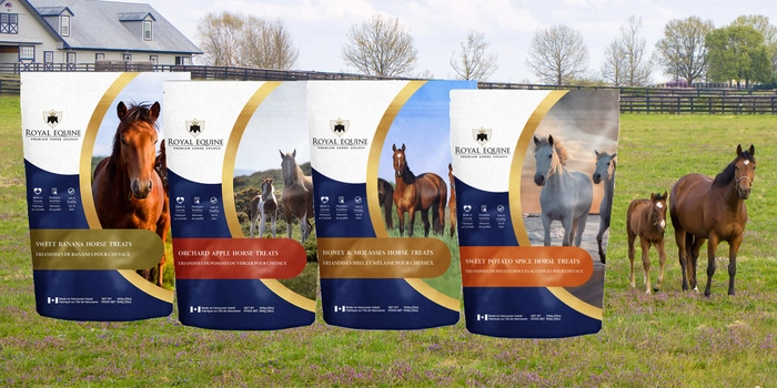 Royal Equine Premium Horse Treats