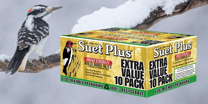 Suet Plus High Energy 10 Pack