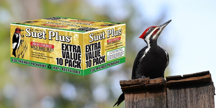 Suet Plus High Energy 10 Pack