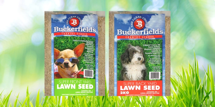 Super Front or Back Lawn Seed