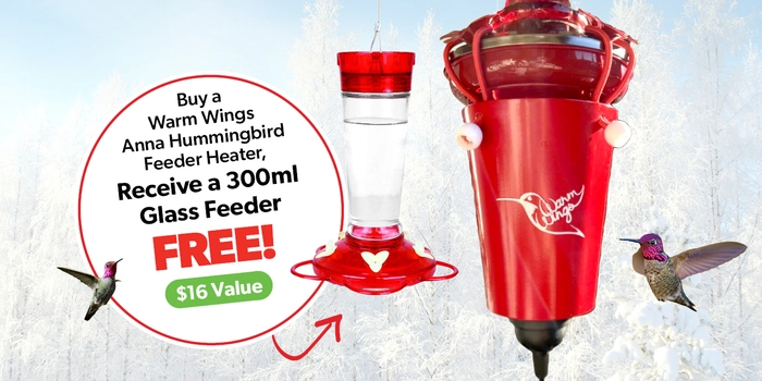 Warm Wings Anna Hummingbird Feeder Heater