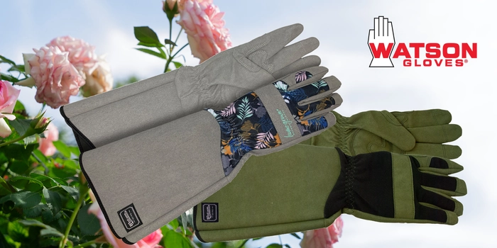 Watson Gloves Game of Thorns