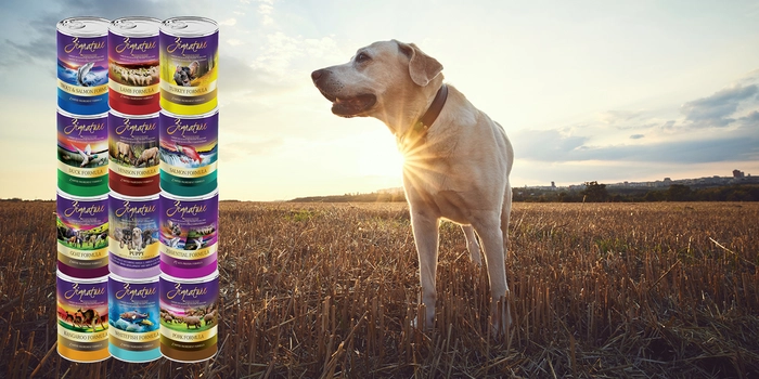 Zignature Canned Dog Food