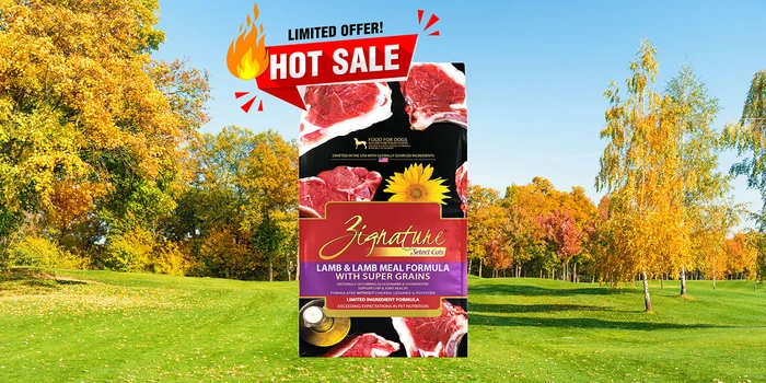 Zignature Select Cuts Lamb Dog Food
