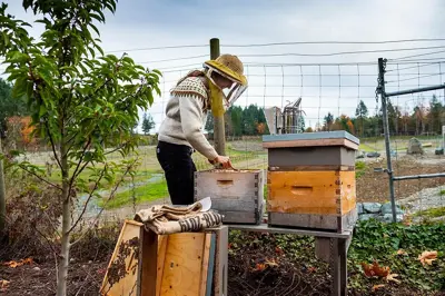 Beekeeping