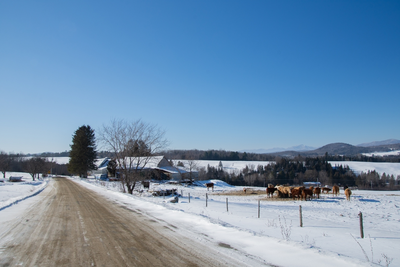 Winter at Buckerfield's