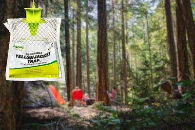Rescue Disposable Yellowjacket Wasp Trap - image 1