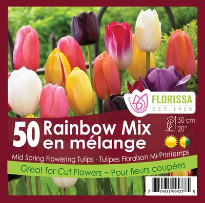 Van Noort Tulip Rainbow Mix 40pk