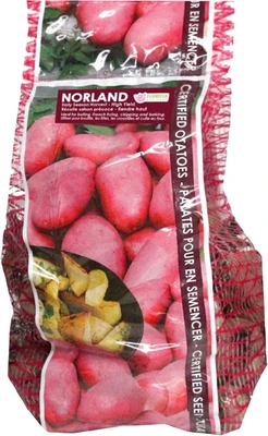 Van Noort Potato Norland 2kg