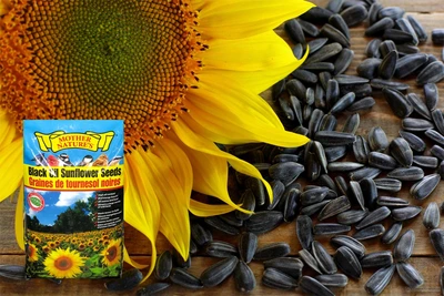 Mother Nature's Sunflower Black Oil 16kg