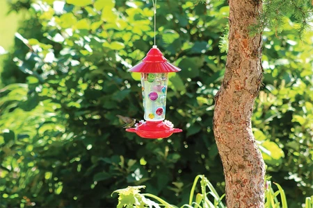 Pinebush Glass Hummingbird Feeder With Handpainted Dots 17oz - image 2