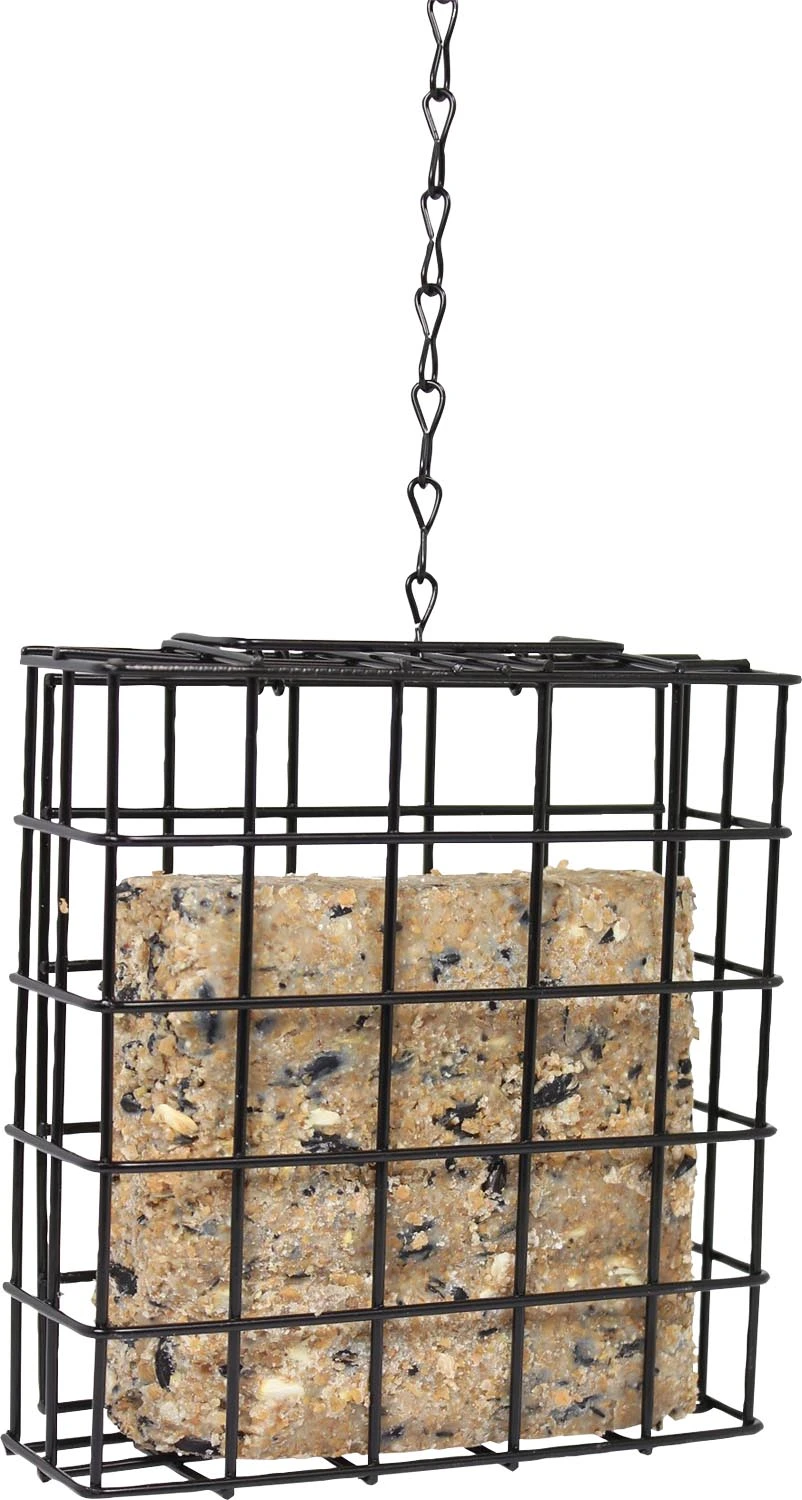 Rectangular Suet Pinebush Single Suet Cake Holder - Buckerfield's - BC's Original ...