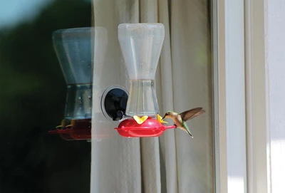 Pinebush Poly Window Hummingbird Feeder - image 2