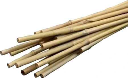 Mygarden 6' Natural Bamboo Stake 20pk