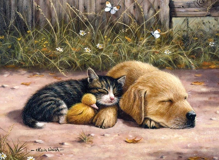 Paint By Number: Sleepy Day Large