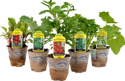 Meadowland 4" Organic Vegetables