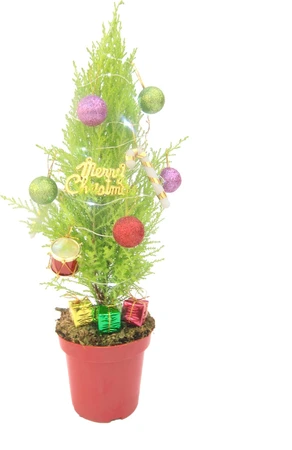 EVL Build Your Own Christmas Tree Kit