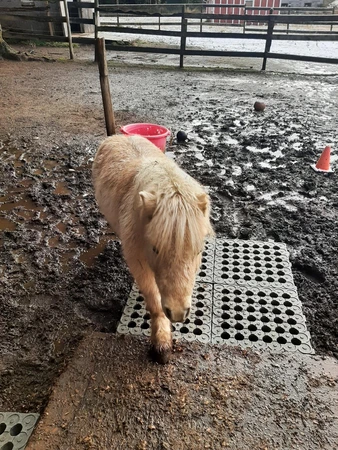 Mud Control Grid 20" x 20" - image 7