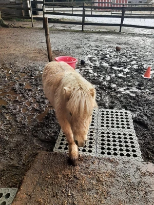 Mud Control Grid 20" x 20" - image 7