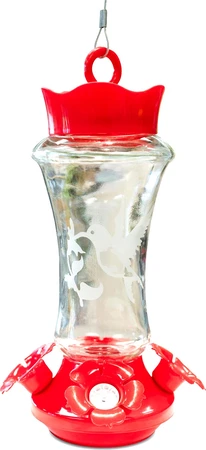 Etched Glass Hummingbird Feeder 17oz