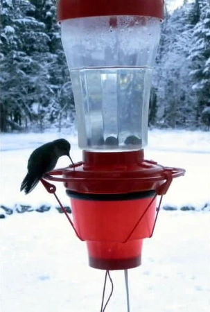Hummer Hearth Hummingbird Feeder Heater - image 2