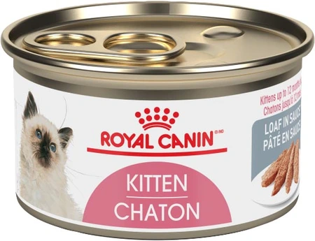 Royal Canin FHN Kitten Loaf In Sauce Cat Food 85g