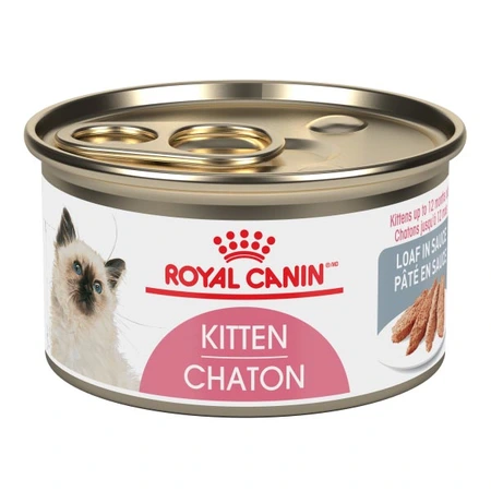 Royal Canin FHN Kitten Loaf In Sauce Cat Food 85g