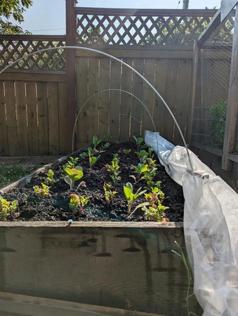 MyGarden Crop Cover 3' x 25' - image 2