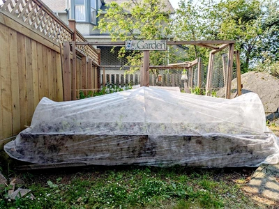 MyGarden Crop Cover 3'  x 50' - image 6