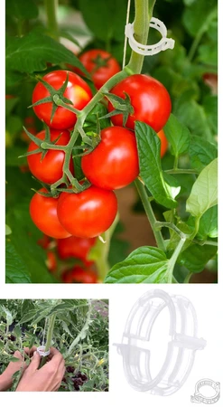 MyGarden Tomato Ring Clips 100pk