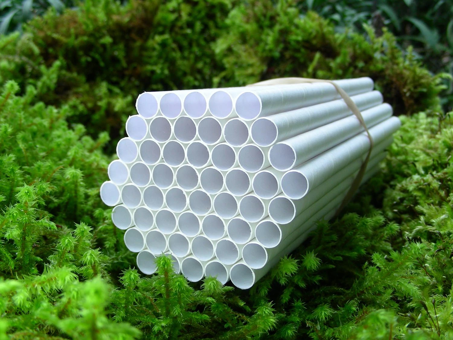 Nested Paper Paper Nesting Tubes 8mm 55pk - Buckerfield's - BC's Original Country Store