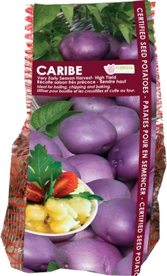 Van Noort Potato Caribe 2kg