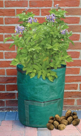 Potato Grow Bag With Viewing Portal/Handle 3.5 Gal