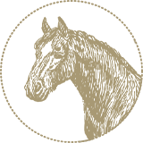 Equine