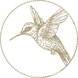 Hummingbird