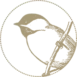 Wild Bird